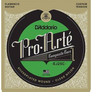 D'Addario EJ25C