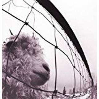 Pearl Jam - Vs.