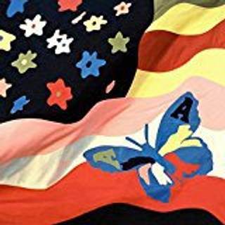 The Avalanches - Wildflower