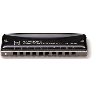 Hammond HA-20 Mundharmonika (A)
