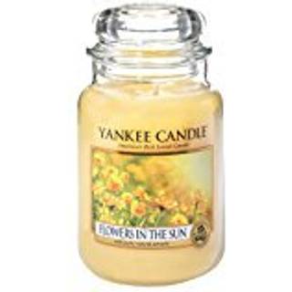 Yankee stearinlys store krukke stearinlys i solen
