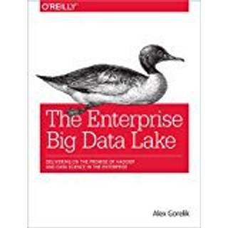 The Enterprise Big Data Lake