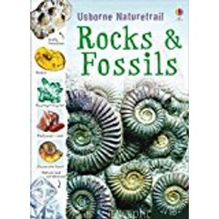 Rocks and Fossils (4, 2010) | Struan Reid