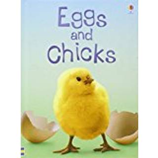 Eggs and Chicks