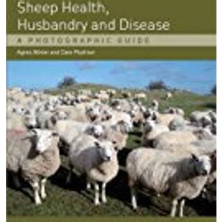 Sheep Health, Husbandry and Disease