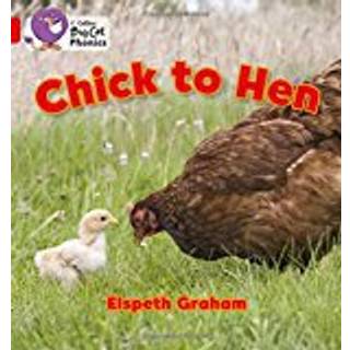 Chick to Hen