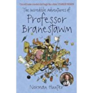 The Incredible Adventures of Professor Branestawm