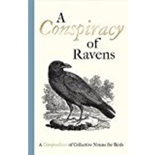 A Conspiracy of Ravens