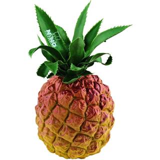 NINO Percussion NINO595 Ananas shaker