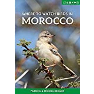 Where to Watch Birds in Morocco