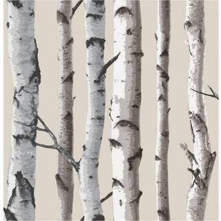 Albany Wallpaper Nordik Wood FD31051