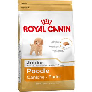Royal Canin Poodle Puppy - 3 kg