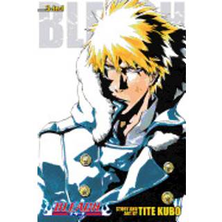 Bleach (3-in-1 Edition), Vol. 17