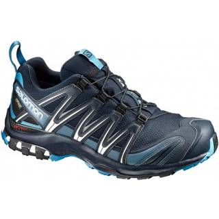 Salomon XA PRO 3D GTX 2020