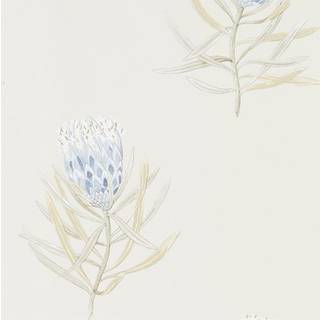 Protea Flower China Blue/Canvas - 216327