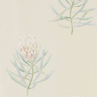 Protea Flower Russet/Green - 216329