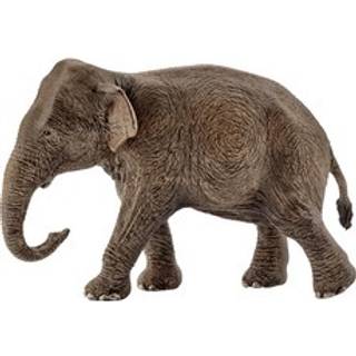 Schleich Wild Life Asiatisk elefant - Hun