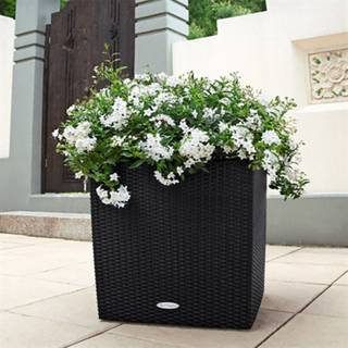 Lechuza Cube Cottage udendørs krukke til blomster med selvvandinssystem Granit 50 x 50 x H50 cm