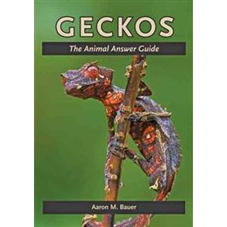 Geckos
