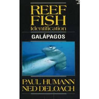 Reef Fish Identification