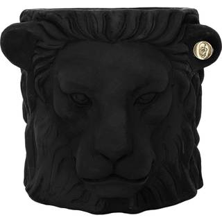 Garden Glory Lion Pot Potte S - Krukker Terrakotta Hvid - Garden75