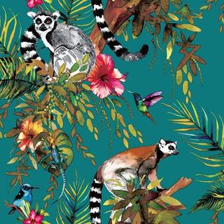 Albany Wallpaper Lemur 12402