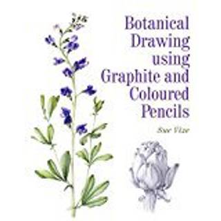 Botanical Drawing using Graphite and Coloured Pencils