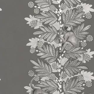 Acacia - Grey