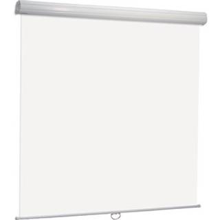 Euroscreen Diplomat Manual Soft&Quiet Arctiq No black borders 200cm x 200cm
