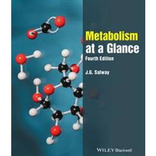 Metabolism at a Glance