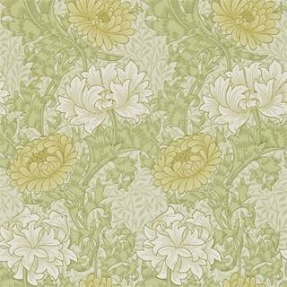 Chrysanthemum Pale Olive - 212545