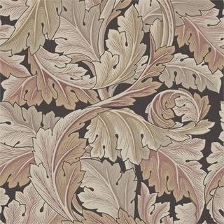 Acanthus Terracotta - 212551