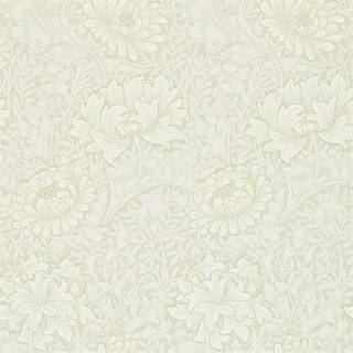 Chrysanthemum Chalk - 212546