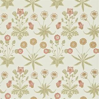 Daisy Coral/Manilla - 212560
