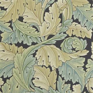 Acanthus Privet - 212550