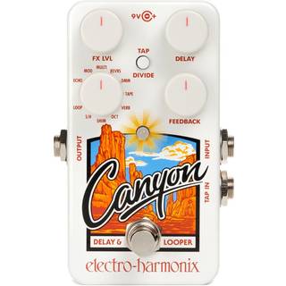 Electro Harmonix Canyon Guitar effekt