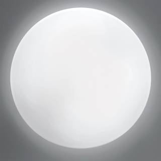BIS 480 - Væg/ Loftlampe - Light-Point