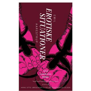 Erotiske Situationer