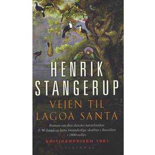 Vejen til Lagoa Santa