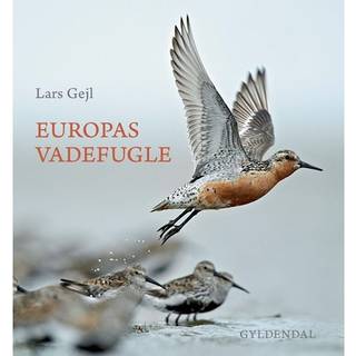 Europas Vadefugle - Bøger fra Gyldendal