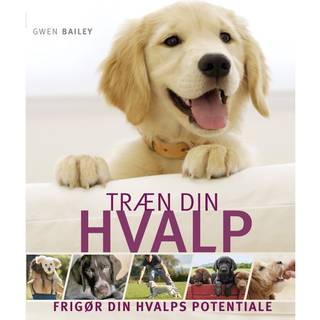 Træn din hvalp - Gwen Bailey