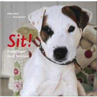 Sit!