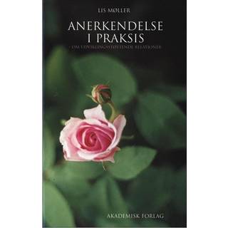 Anerkendelse i praksis