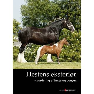 Hestens eksteriør