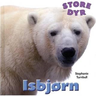 Isbjørn