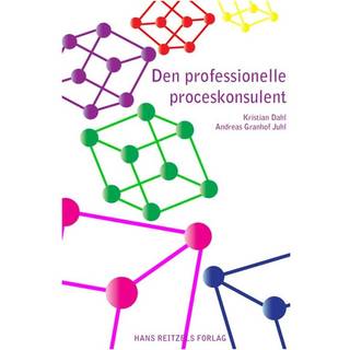 Den professionelle proceskonsulent
