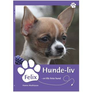 Felix - en lille bitte hund