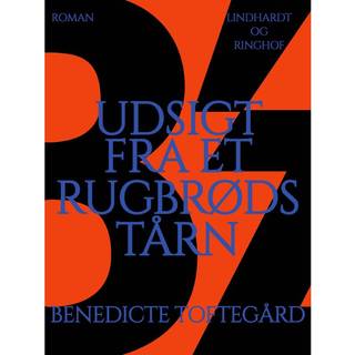 Udsigt fra et rugbrødstårn