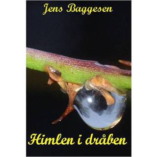Himlen i dråben