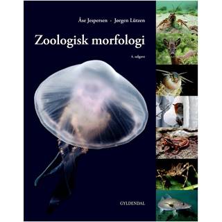 Zoologisk morfologi